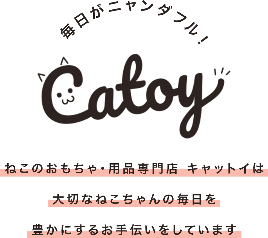 毎日がニャンダフル!Catoy猫のおもちゃ・用品専門店　キャットイは大切な猫ちゃんの毎日を豊かにするお手伝いをしています